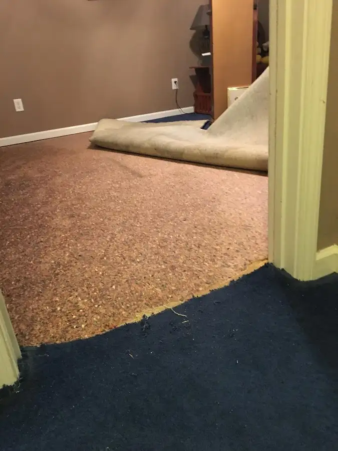 Carpet pad removal revealing water damage during Drying & Dehumidification in Tequesta