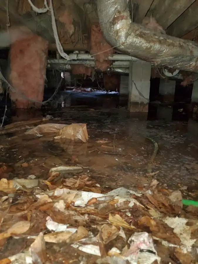 Crawl space flood assessment for Leak Detection & Repair in Tequesta