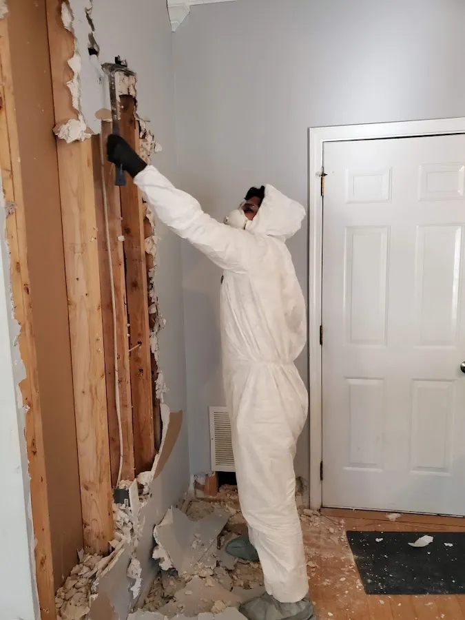 Mold Inspection & Testing in Tequesta, FL